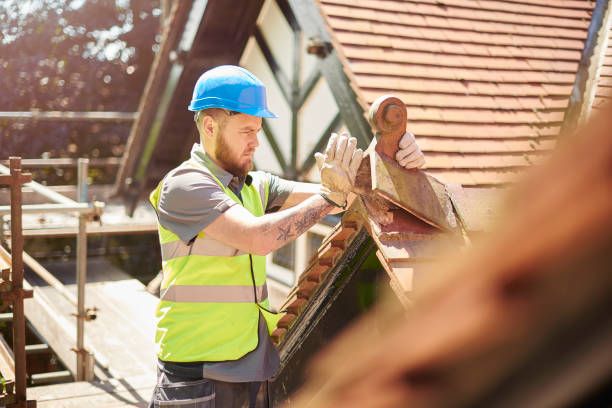 Best Gutter Installation and Roofing  in Springdale, NJ